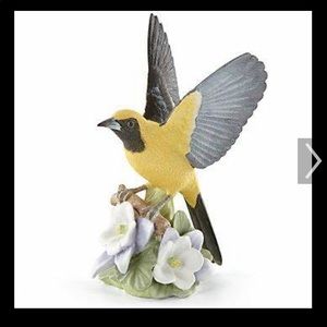 New Lenox hooded oriole